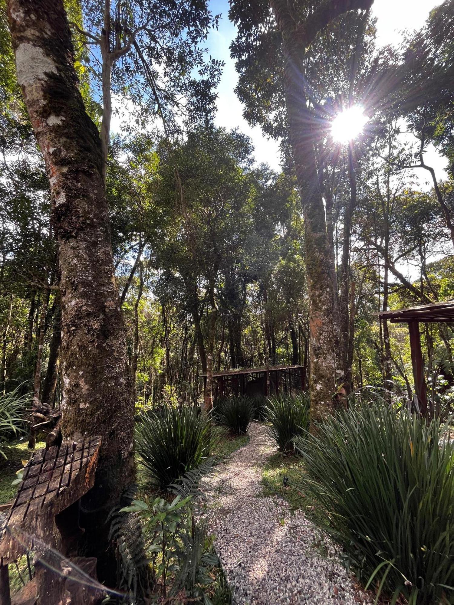 Refugio Familiar Em Monte Verde Monte Verde  Buitenkant foto